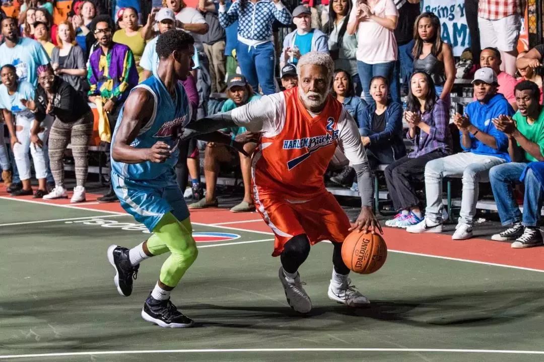 江苏女排的 江苏女排的